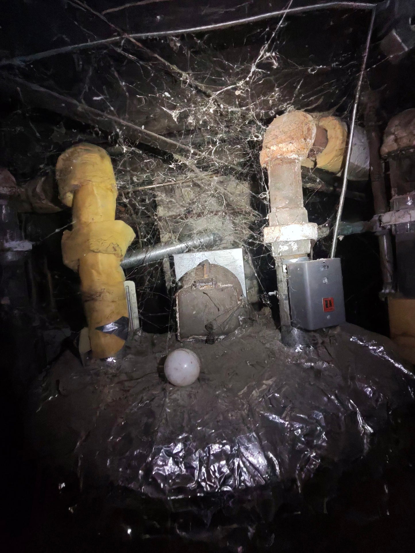 Calculated Comfort Club (Monthly Subscription)