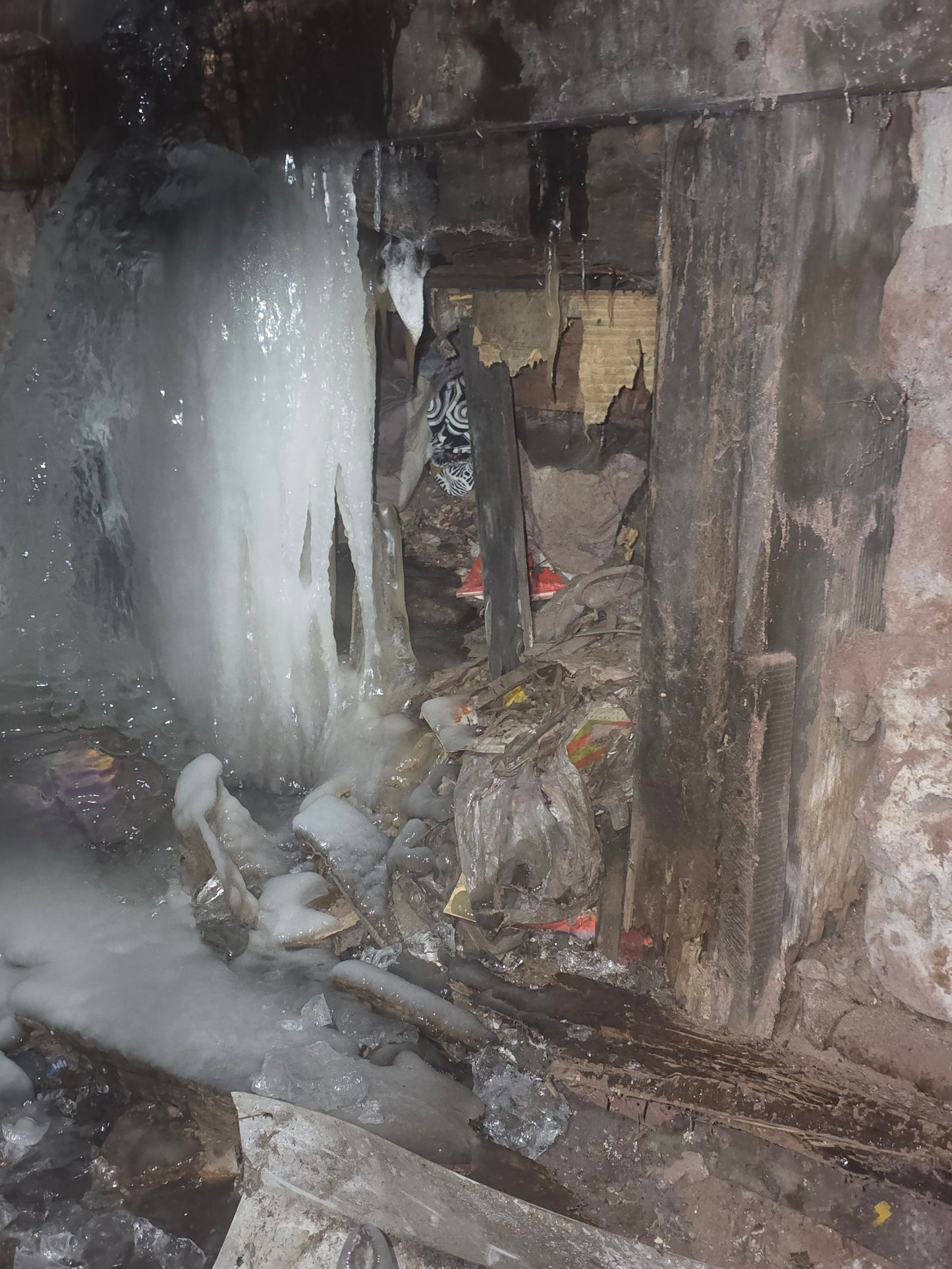 Calculated Comfort Club (Monthly Subscription)