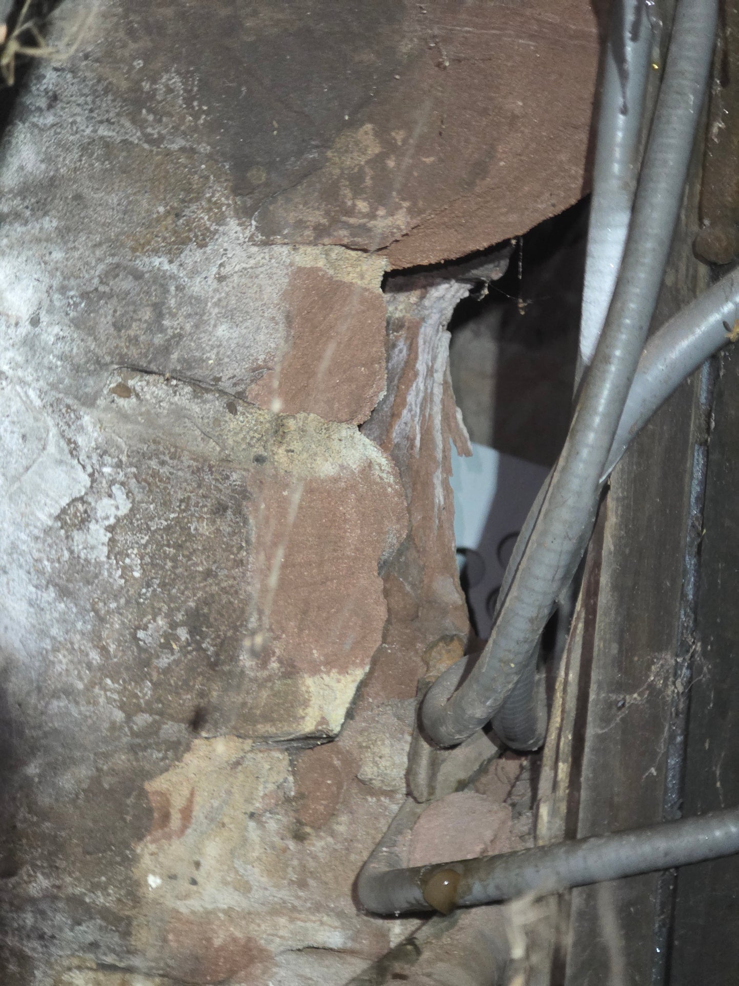 Calculated Comfort Club (Monthly Subscription)